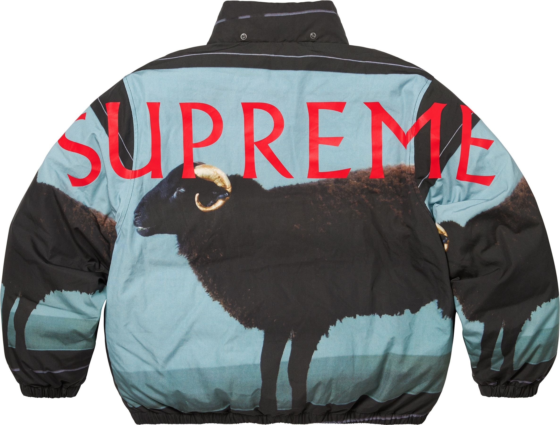 Supreme/Damien Hirst Down Puffer Jacket view 12